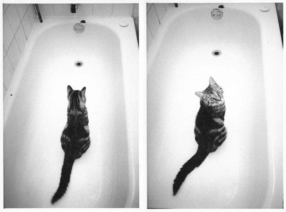 Larry in the Bathtub